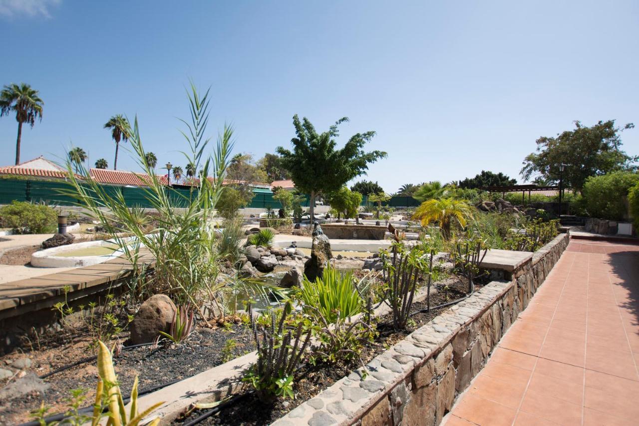 Serenity Garden Maspalomas  Kültér fotó