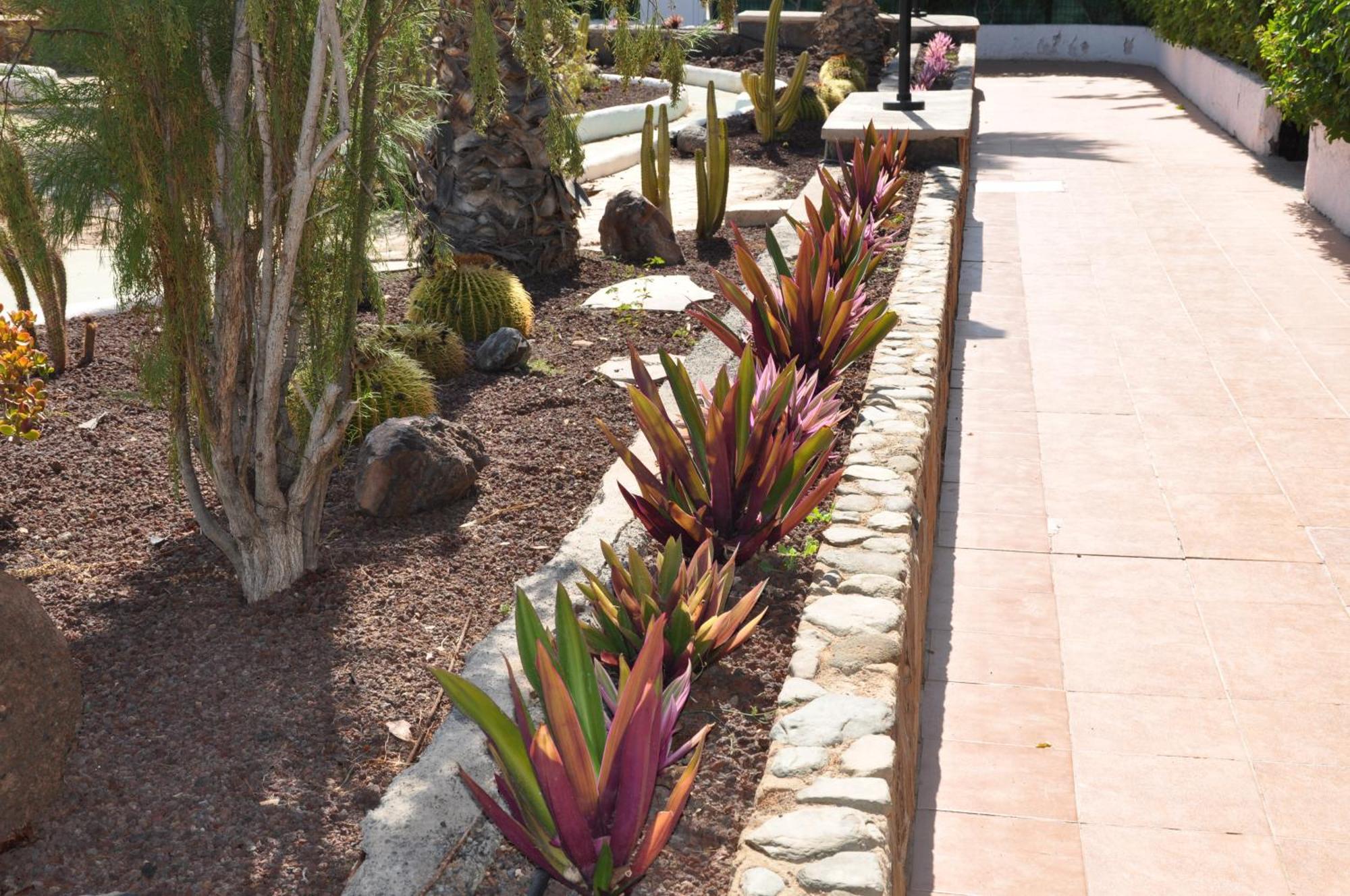Serenity Garden Maspalomas  Kültér fotó