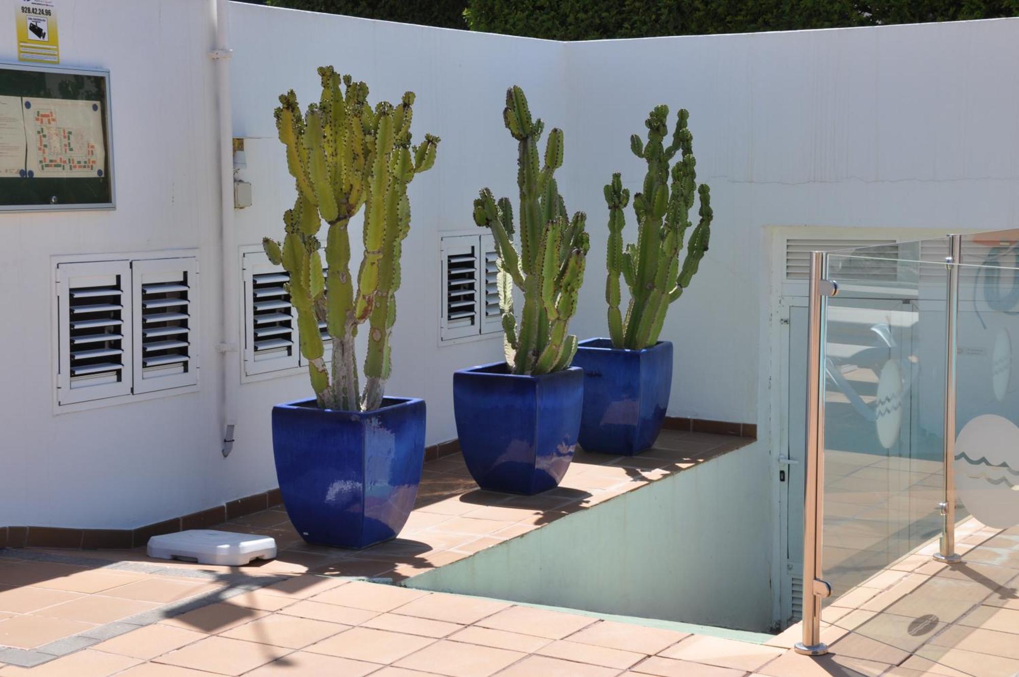 Serenity Garden Maspalomas  Kültér fotó