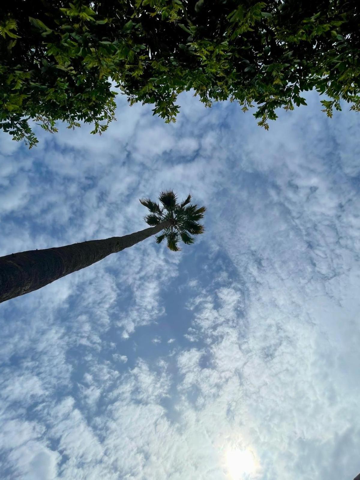 Serenity Garden Maspalomas  Kültér fotó